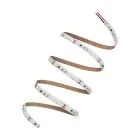 Ledvance Strisce LED Performance 21W 2455lm 24v - 940 Bianco Freddo | 5M/8mm - Miglior Resa Cromatica