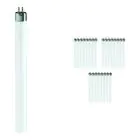 Confezione Multipack 25x Philips T5 Short 6W - 640 Bianco Freddo | 21cm